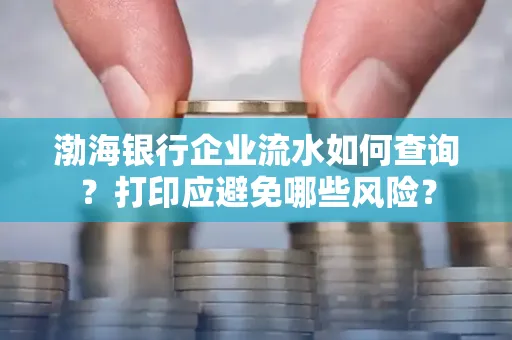 渤海银行企业流水如何查询？打印应避免哪些风险？