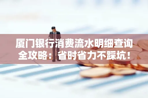 厦门银行消费流水明细查询全攻略：省时省力不踩坑！