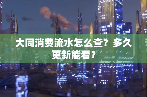 大同消费流水怎么查？多久更新能看？